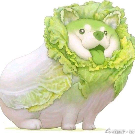 Alex_ZhangTT于2020-11-15 20:26发布的图片