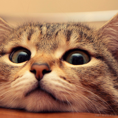 哈士企鹅于2021-04-19 14:51发布的图片