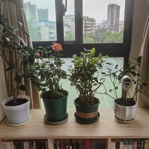 牛肉烧板黎于2022-06-02 09:07发布的图片