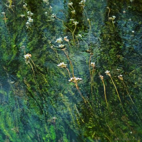 喬契于2022-11-24 20:53发布的图片