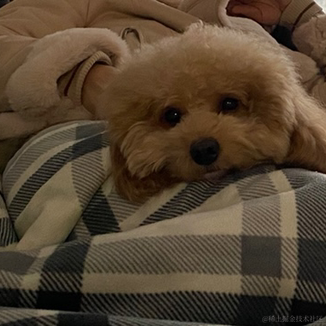 一木1于2022-12-14 09:02发布的图片