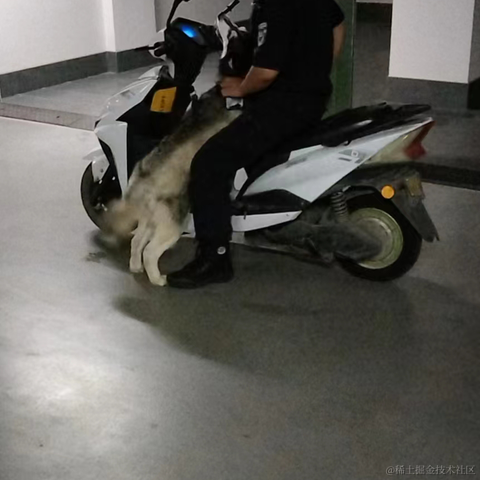 王老狮于2022-09-04 10:31发布的图片