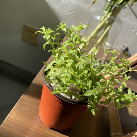 坏坏小笼包于2022-12-18 10:32发布的图片