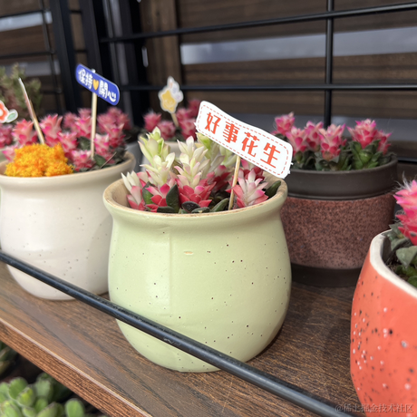 秋秋秋糖于2023-05-30 12:59发布的图片