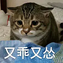 我迪迦在东北于2022-12-26 19:15发布的图片