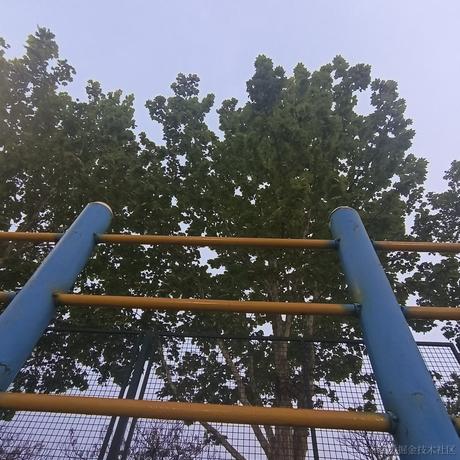 耶耶_于2023-04-20 01:26发布的图片