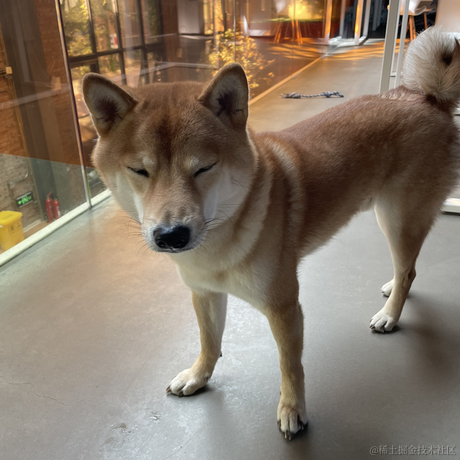 北漂舵手于2021-10-29 11:07发布的图片