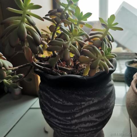 证果果于2022-12-04 09:04发布的图片