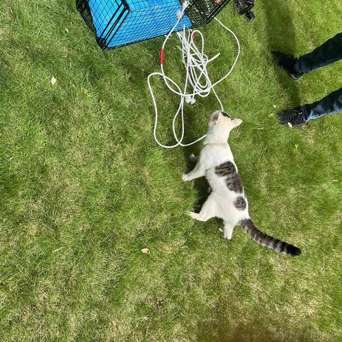 潜水摸鱼于2023-09-02 11:51发布的图片