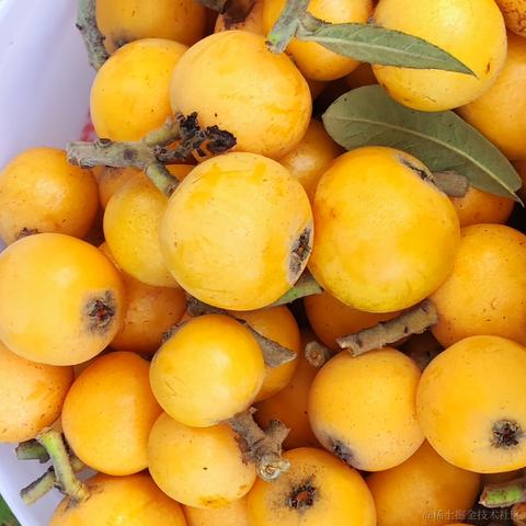 pdudo于2023-04-30 09:21发布的图片