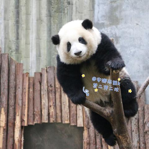 Ricardo_M_Eric于2023-05-21 20:47发布的图片