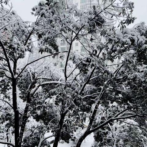 你的名字o_O于2024-01-22 01:08发布的图片