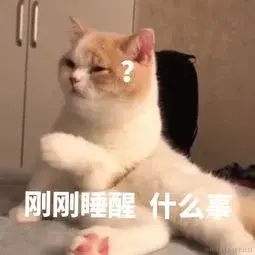 闪光万岁于2020-12-11 22:52发布的图片