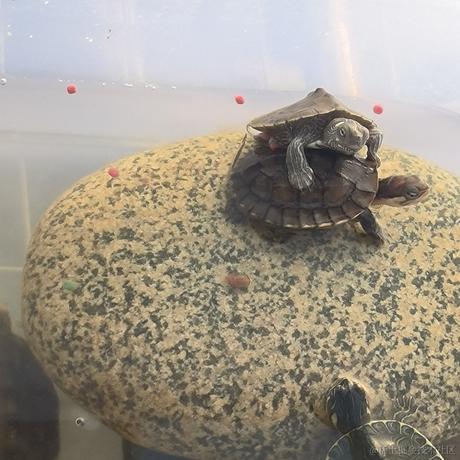 热心市民小沈于2022-11-25 08:42发布的图片