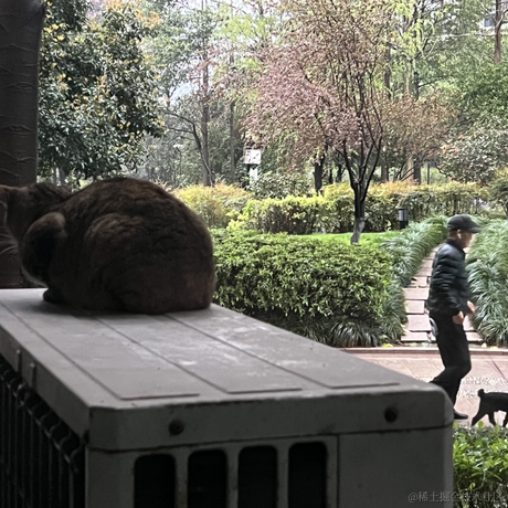 泊浮目于2022-03-22 17:46发布的图片