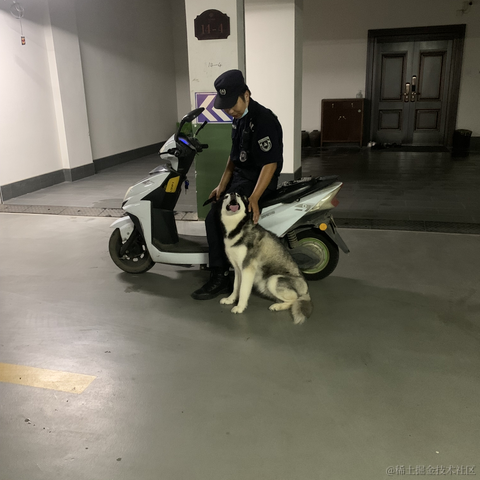 王老狮于2022-09-04 10:31发布的图片