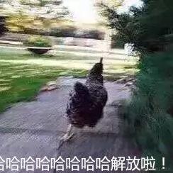 少妇的美梦于2021-06-09 16:05发布的图片