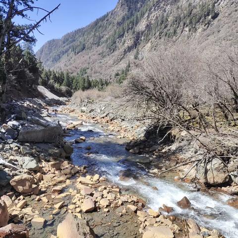 快乐的小菜鸟118于2023-04-19 10:11发布的图片