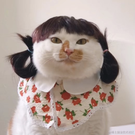 香蕉你个不啦辣于2021-10-27 17:50发布的图片