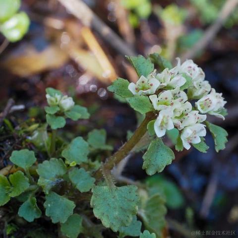 胖胖的小奶龙于2024-03-30 14:06发布的图片