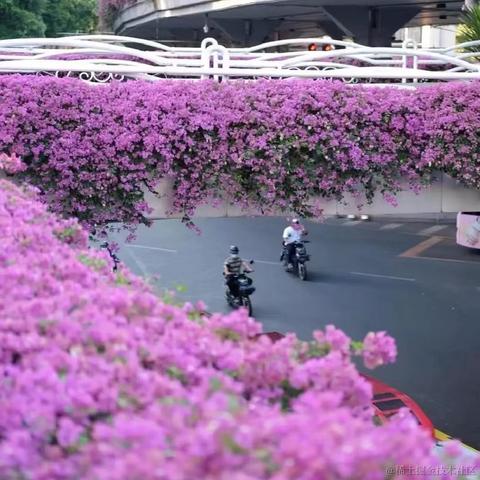 法医于2022-11-12 11:51发布的图片