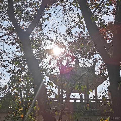 user8167616976815于2022-11-24 18:37发布的图片