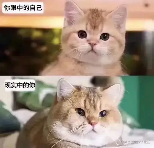 理想和现实.png