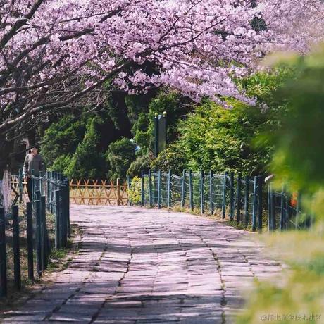 用户您好于2023-04-28 09:30发布的图片