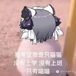 贰伍捌伍于2023-12-07 03:07发布的图片