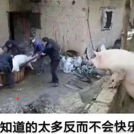 forrest酱于2020-09-02 16:49发布的图片