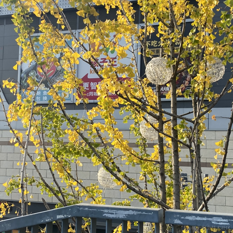 铁血嘉心糖ww于2022-11-22 00:53发布的图片