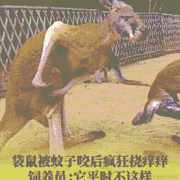 jayjay于2023-05-12 13:21发布的图片