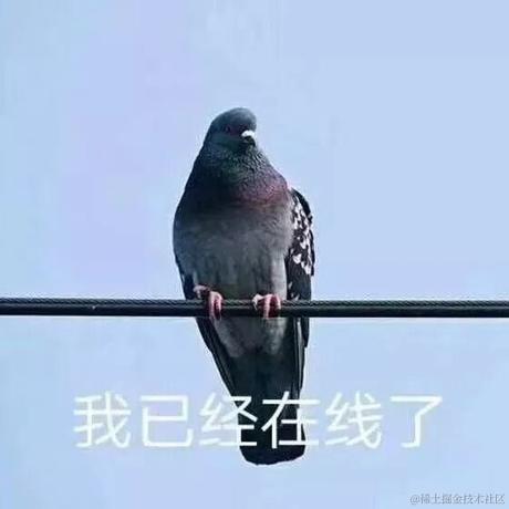 迷苟于2022-11-19 20:23发布的图片