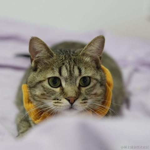 云里伴山于2023-05-19 16:22发布的图片