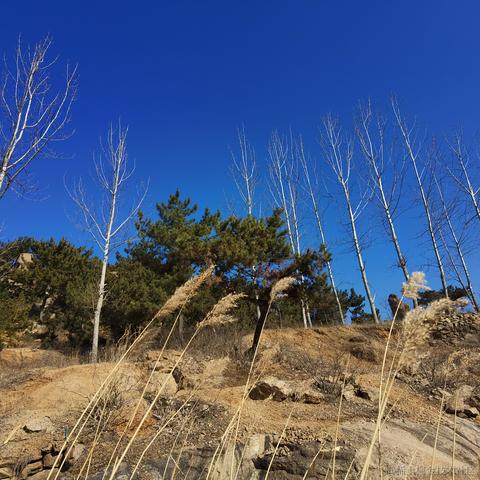 你好我就要起飞了于2021-09-14 10:45发布的图片