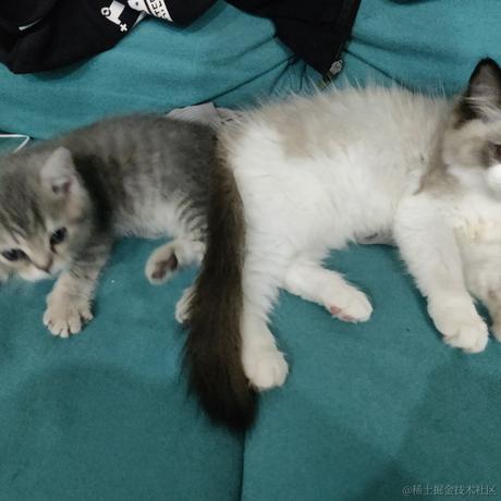 First于2023-05-21 12:43发布的图片