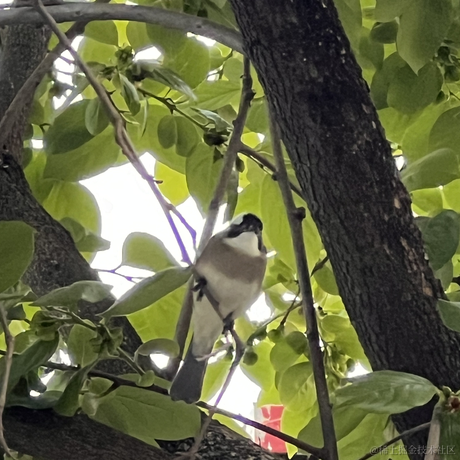 十里八乡有名的后俊生于2024-05-07 07:47发布的图片