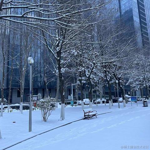 FernQ于2024-01-16 09:31发布的图片