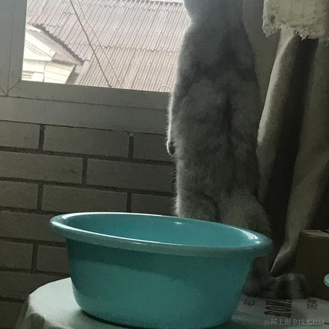 一只小菠萝于2021-10-27 18:22发布的图片