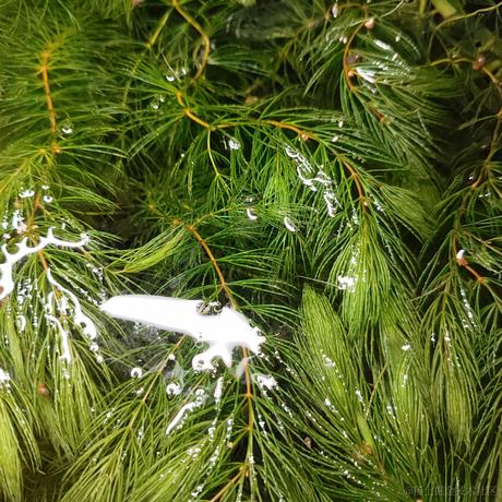 BK0717于2022-12-05 17:24发布的图片