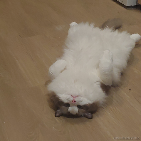 端盘花生米于2022-10-20 17:08发布的图片