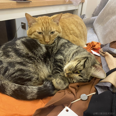 avavaava于2022-11-27 01:50发布的图片