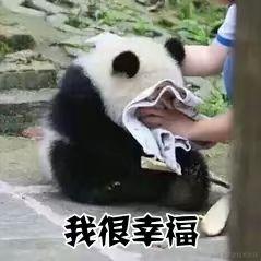 _韭_菜_炒_鸡_蛋于2023-02-10 10:27发布的图片