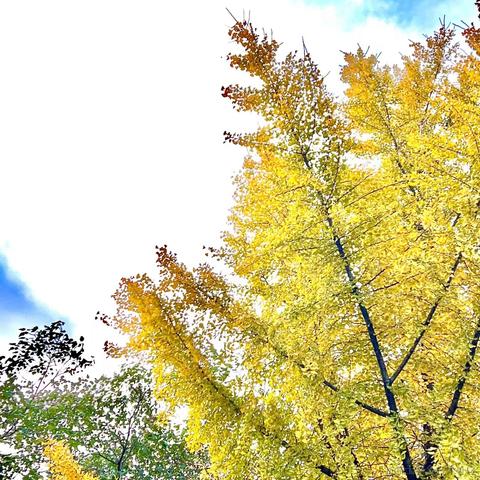 泻药本药于2022-12-15 18:06发布的图片