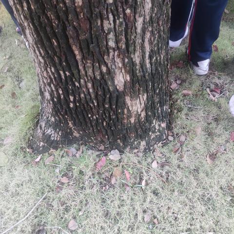 猫雷最强于2022-11-10 16:50发布的图片