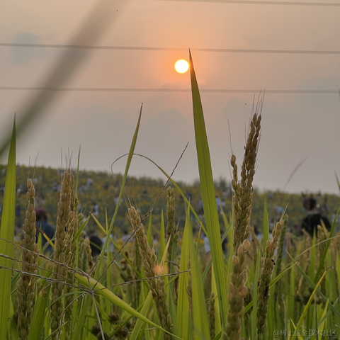 研究员于2023-09-16 18:31发布的图片