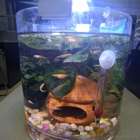 加盐于2022-11-26 09:04发布的图片