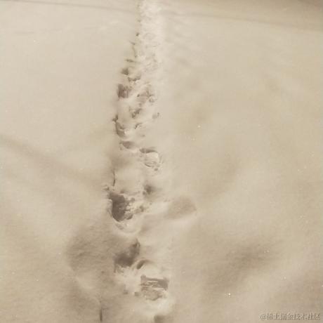 理想国579于2022-12-01 08:50发布的图片