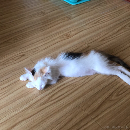 Sherry君29088于2022-07-08 08:21发布的图片