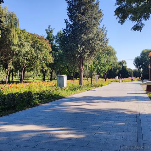 哪七个濑于2022-12-03 13:10发布的图片